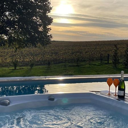 Best View, Pool And Spa On The Champagne Vineyard Saint-Thierry Luaran gambar