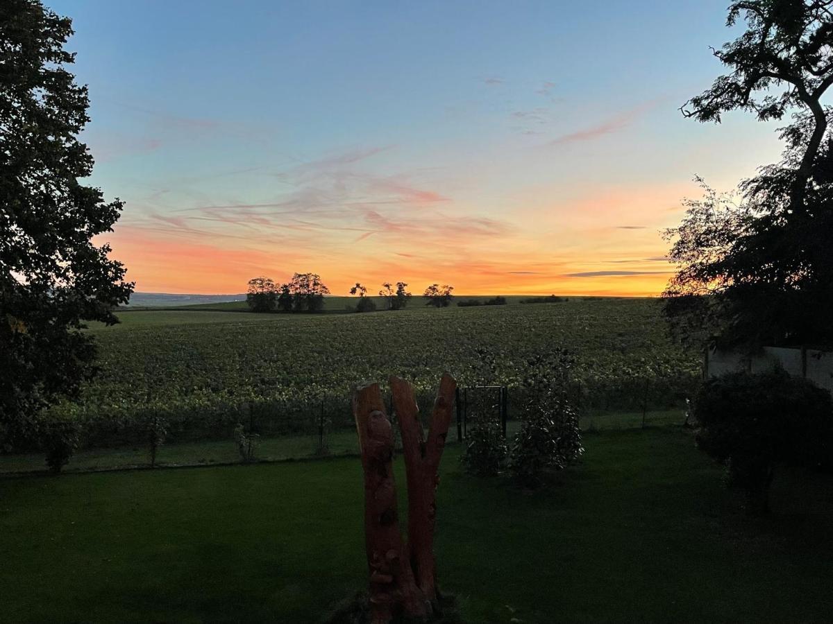 Best View, Pool And Spa On The Champagne Vineyard Saint-Thierry Luaran gambar