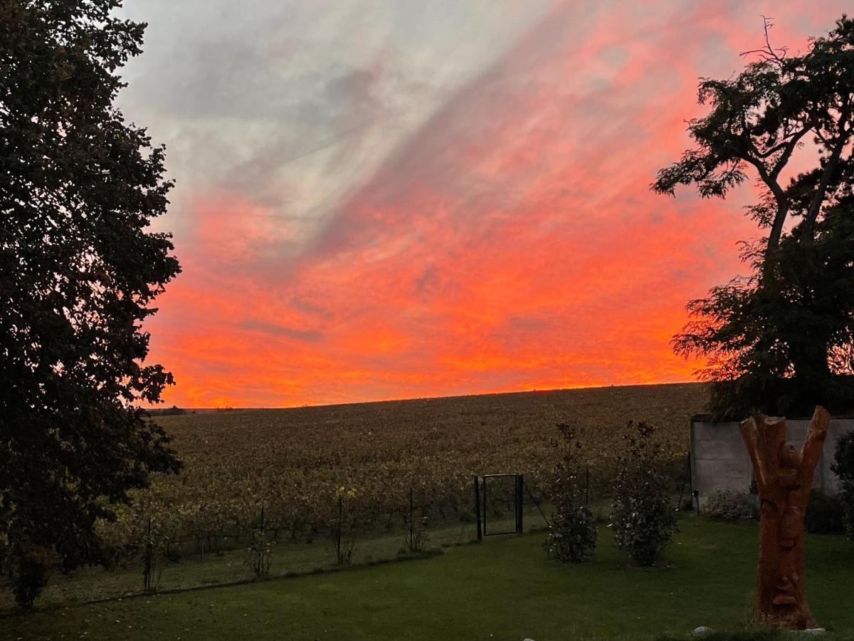 Best View, Pool And Spa On The Champagne Vineyard Saint-Thierry Luaran gambar
