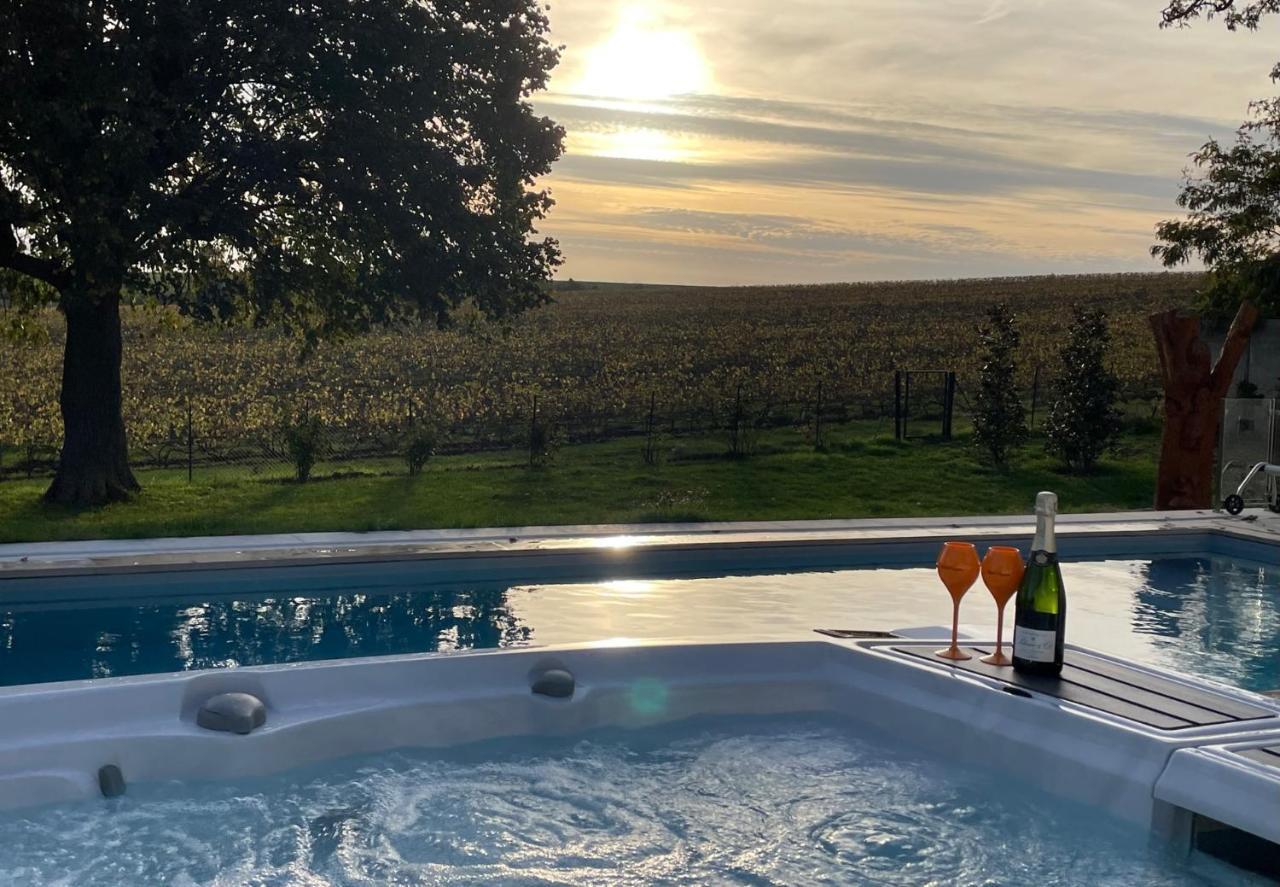 Best View, Pool And Spa On The Champagne Vineyard Saint-Thierry Luaran gambar