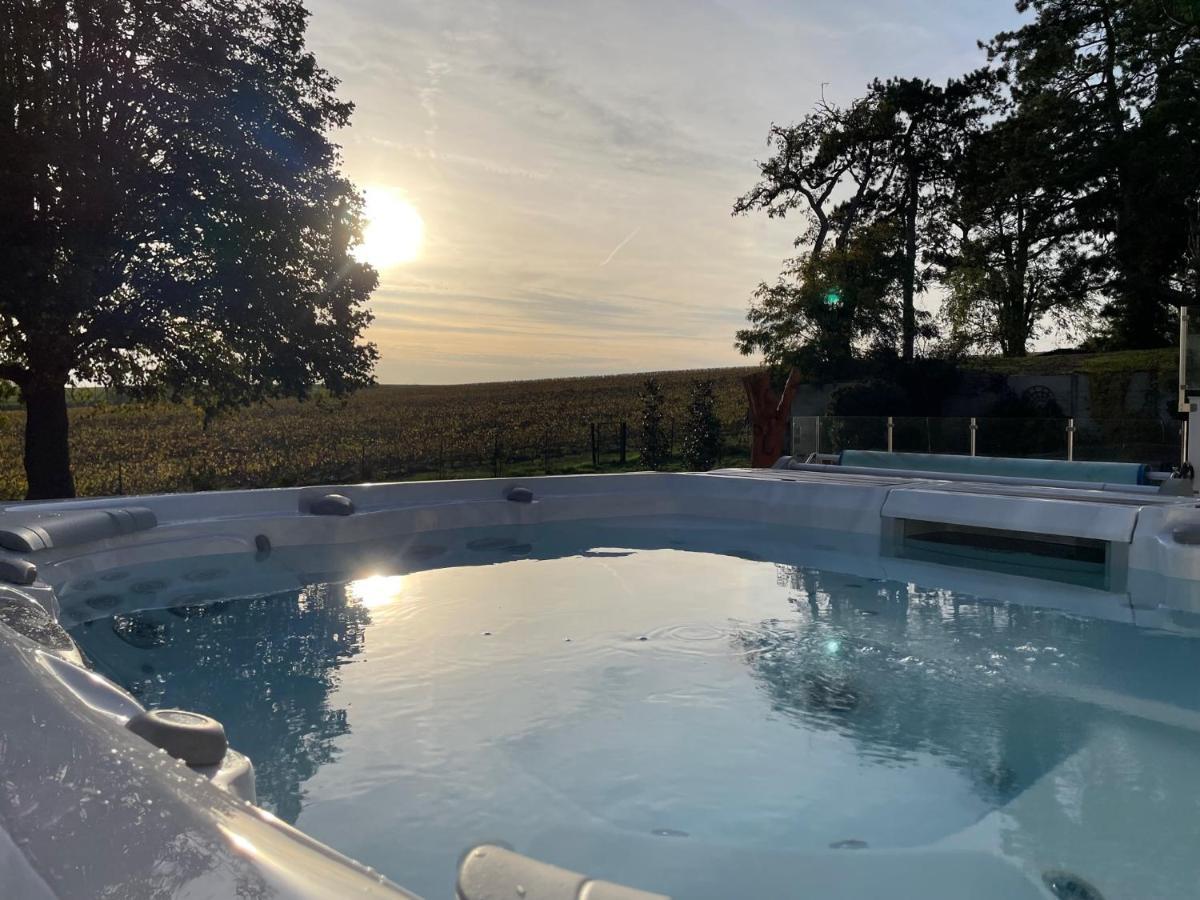 Best View, Pool And Spa On The Champagne Vineyard Saint-Thierry Luaran gambar